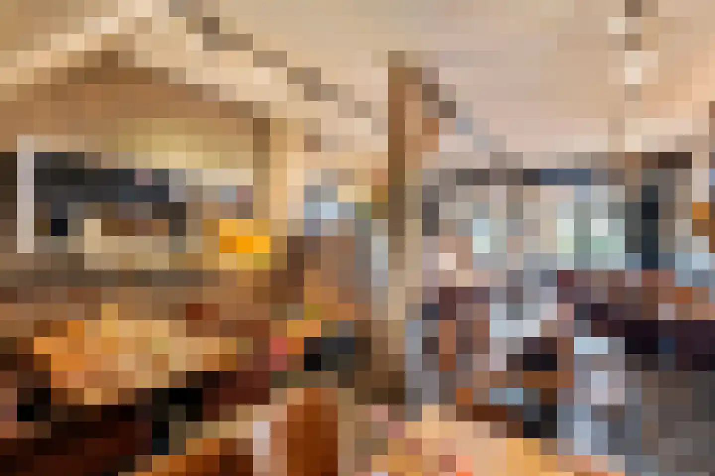 Culemborgseweg 27 Asch thumbnail 17