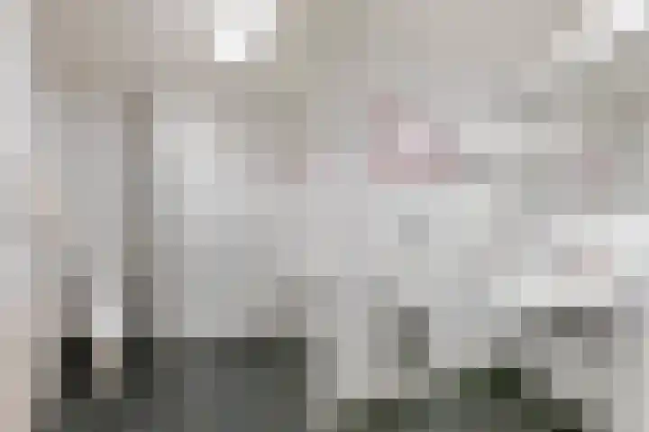 Culemborgseweg 27 Asch thumbnail 21
