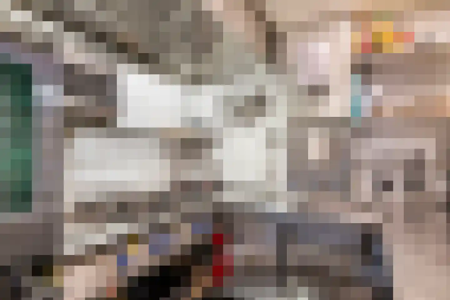 Culemborgseweg 27 Asch thumbnail 26