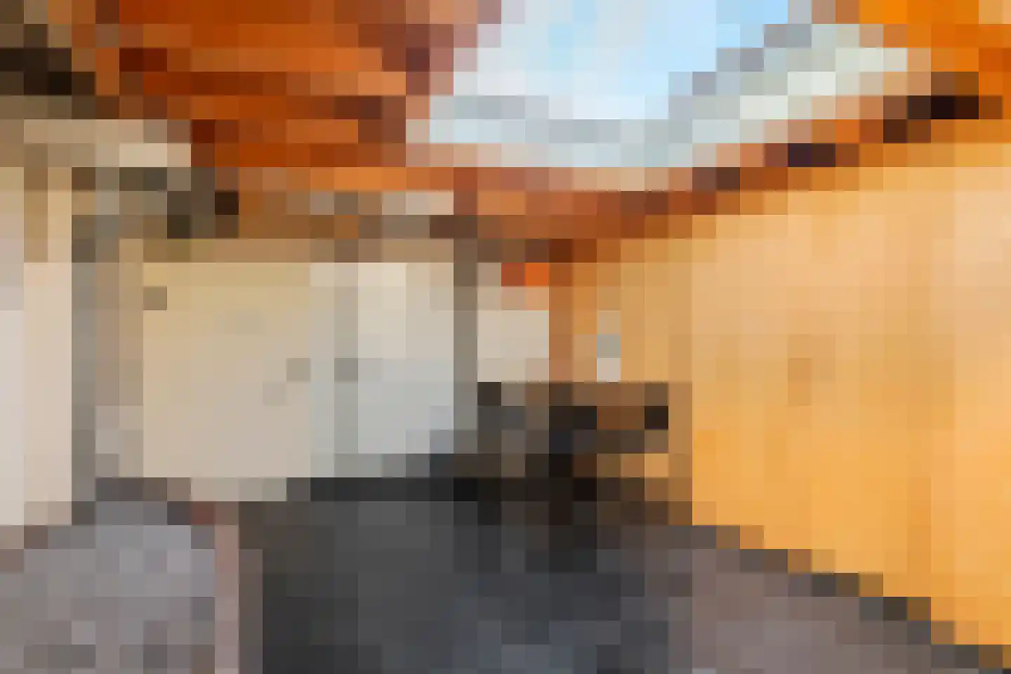 Culemborgseweg 27 Asch thumbnail 31