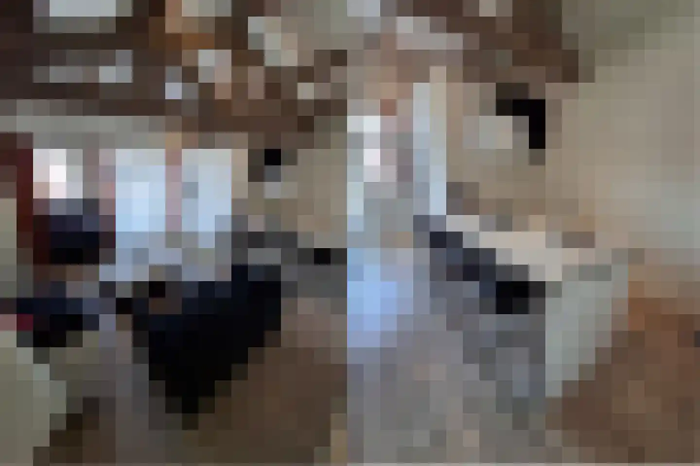 Culemborgseweg 27 Asch thumbnail 46