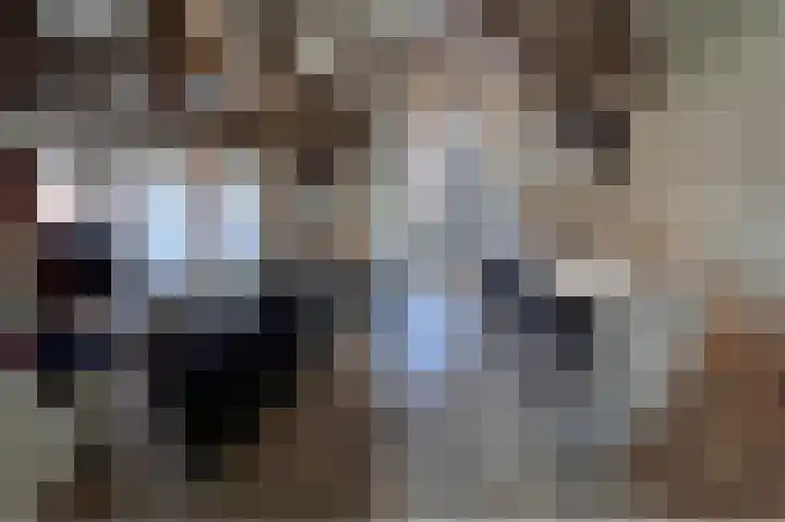 Culemborgseweg 27 Asch thumbnail 46