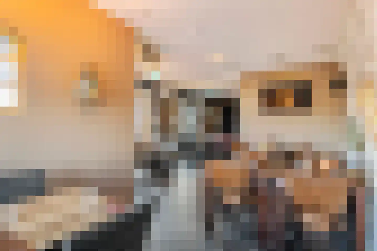 Culemborgseweg 27 Asch thumbnail 5