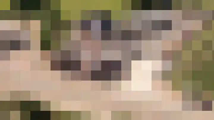 Culemborgseweg 27 Asch thumbnail 56