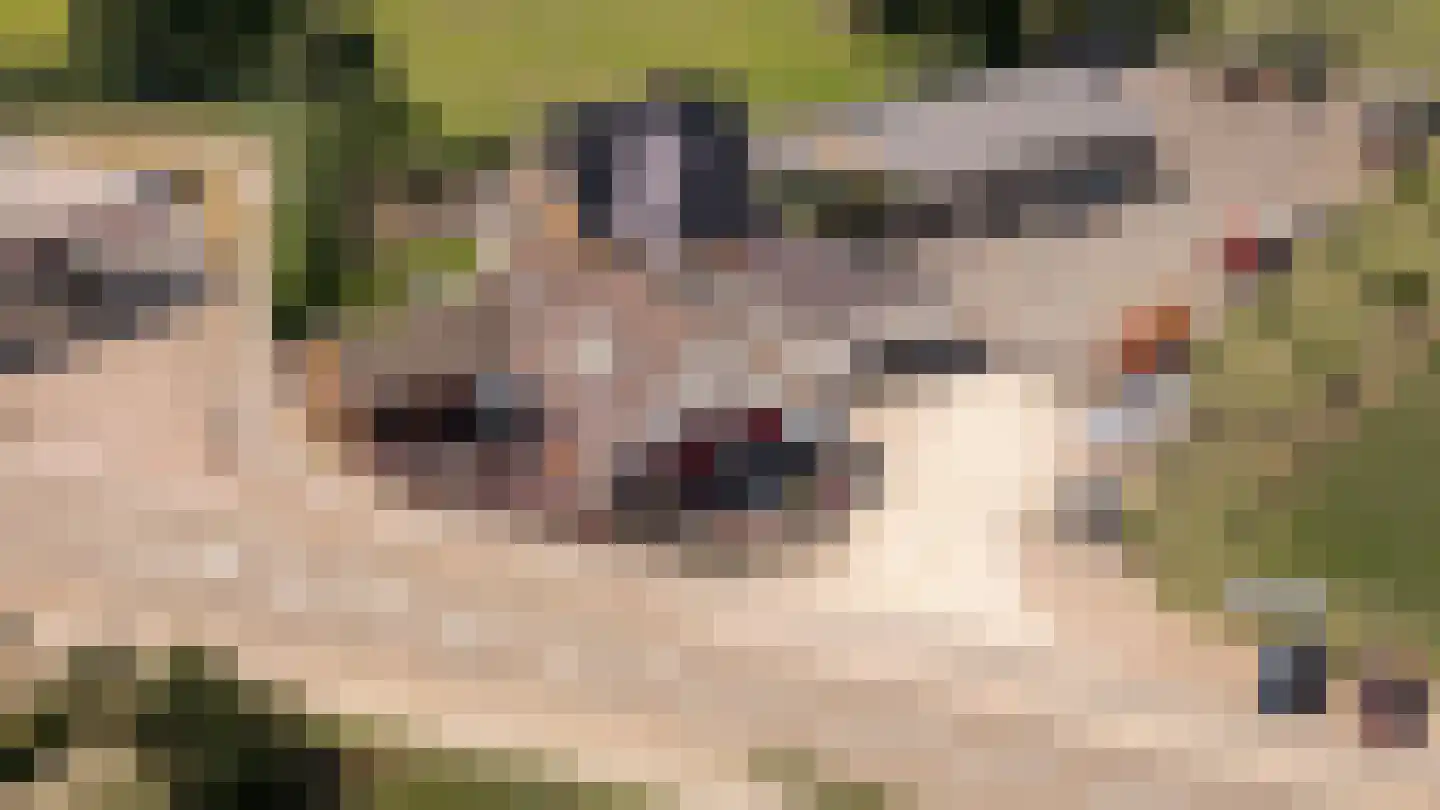 Culemborgseweg 27 Asch thumbnail 56