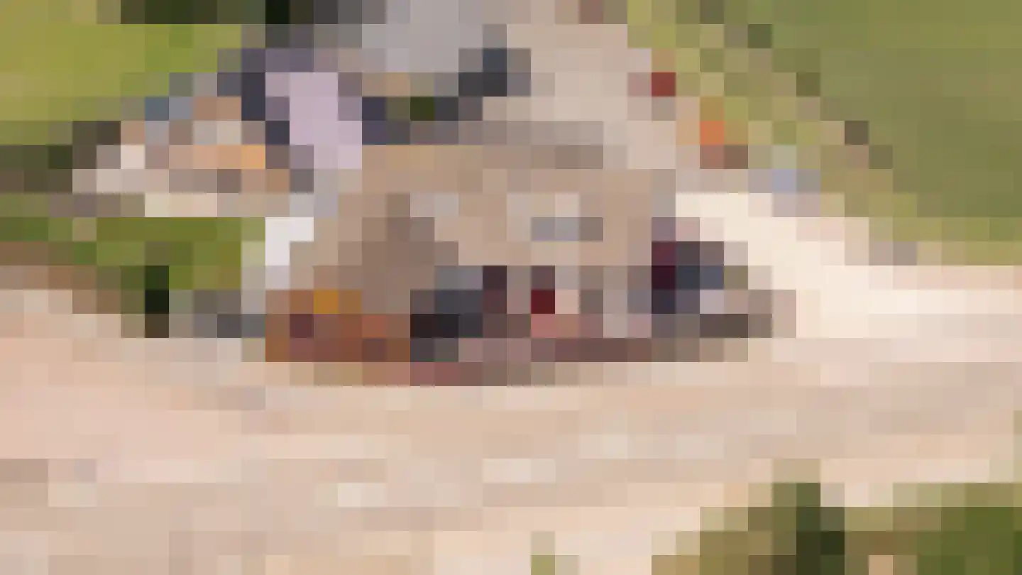 Culemborgseweg 27 Asch thumbnail 57