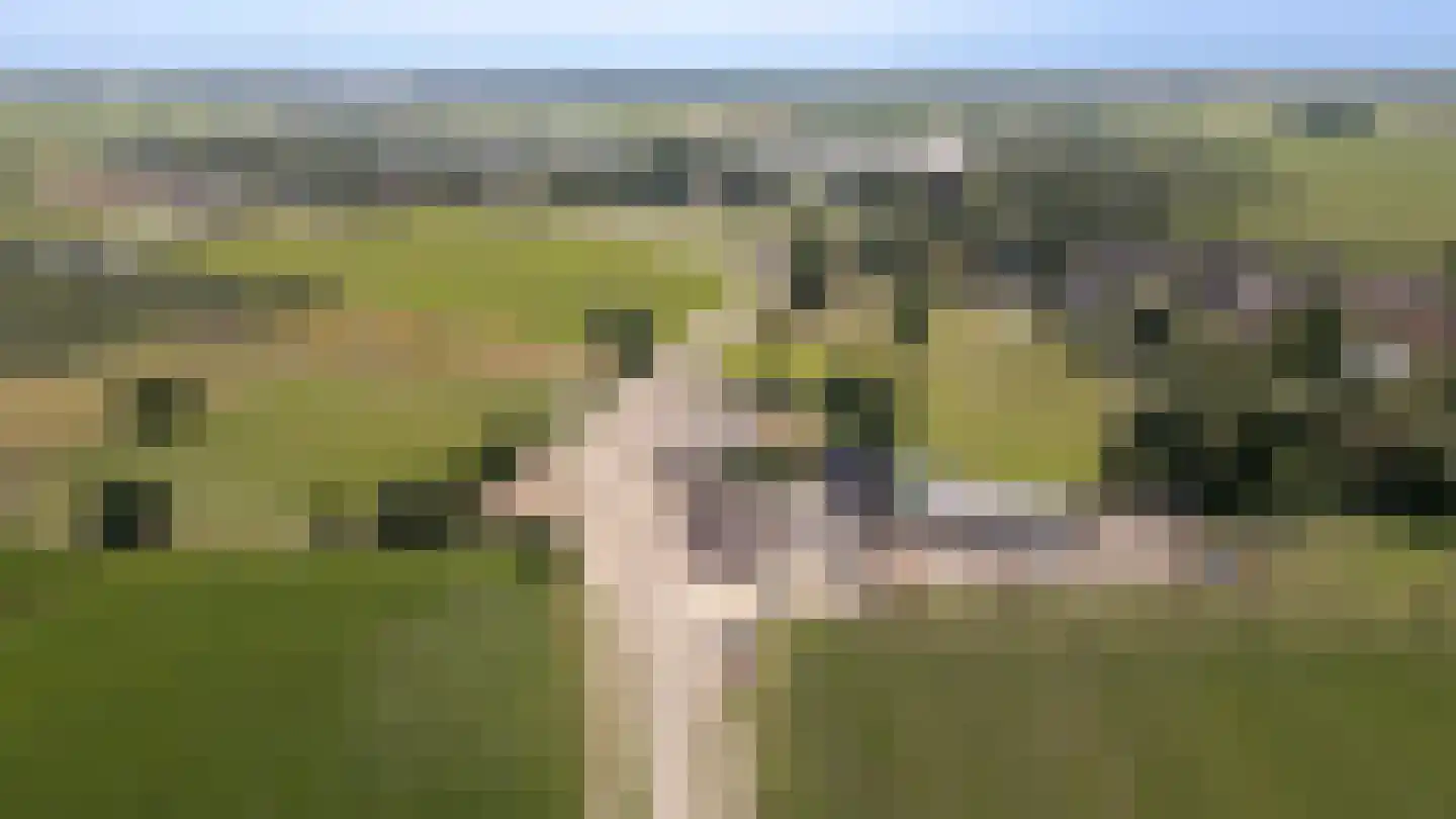 Culemborgseweg 27 Asch thumbnail 59