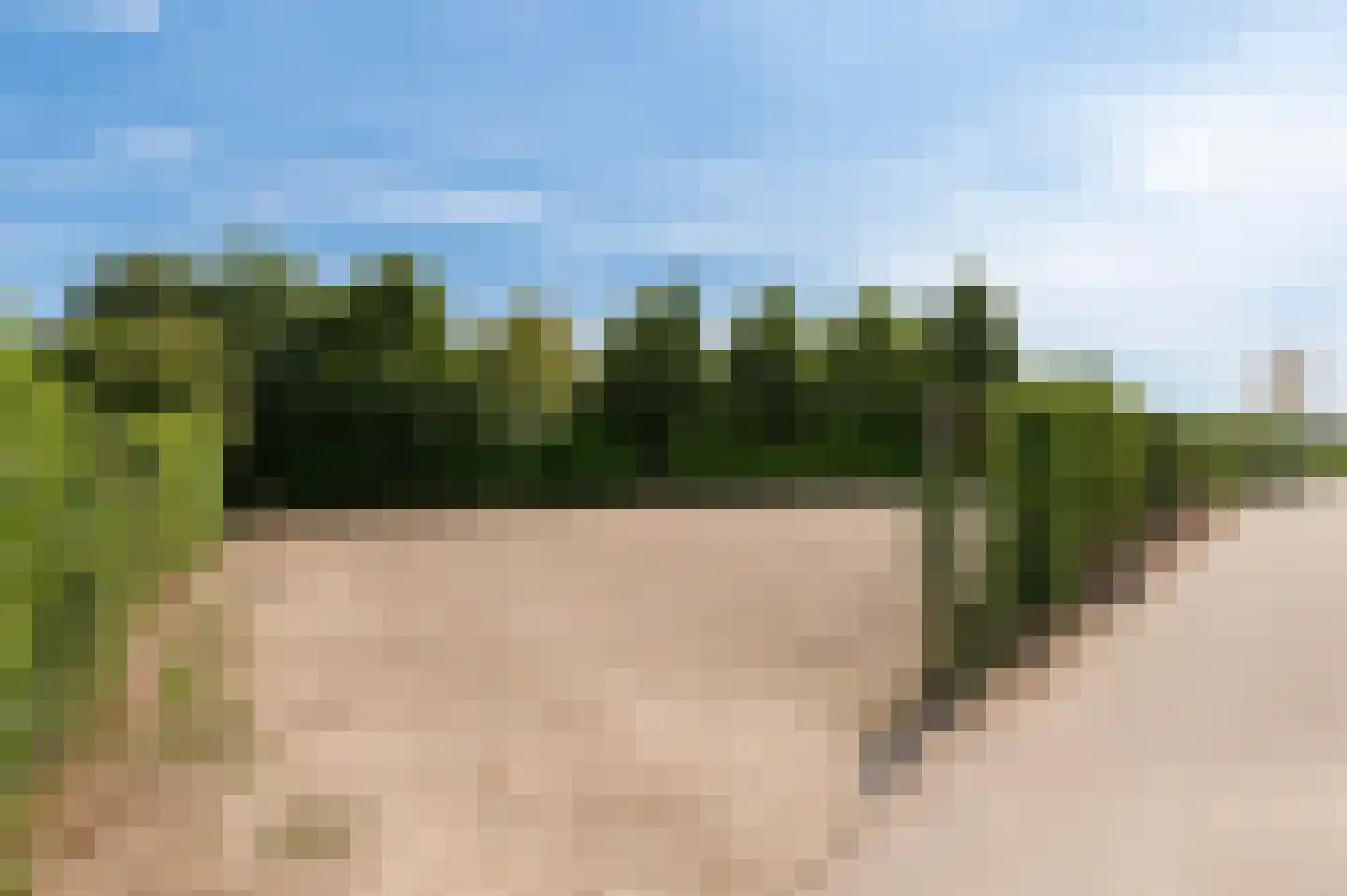 Culemborgseweg 27 Asch thumbnail 60