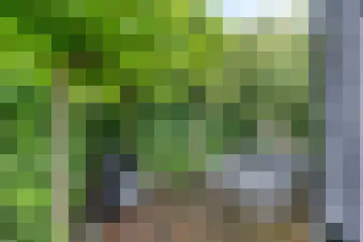 Culenhof 46 Nuenen thumbnail 20