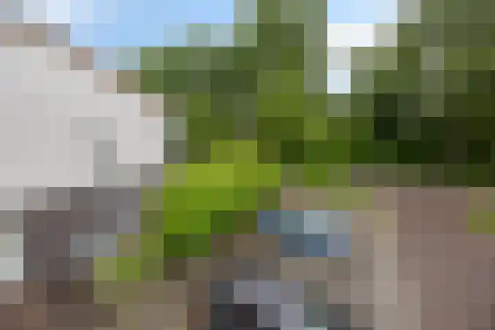 Culenhof 46 Nuenen thumbnail 23