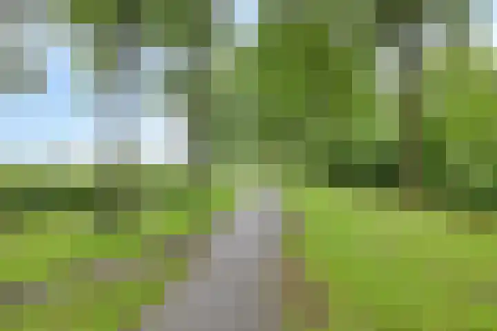 Culenhof 46 Nuenen thumbnail 24