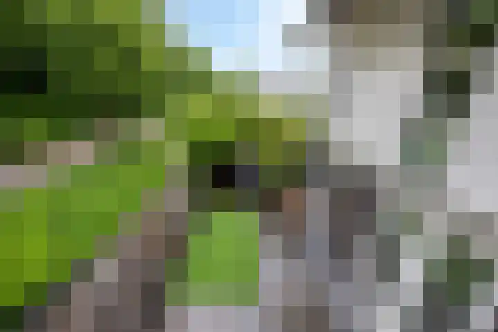 Culenhof 46 Nuenen thumbnail 5