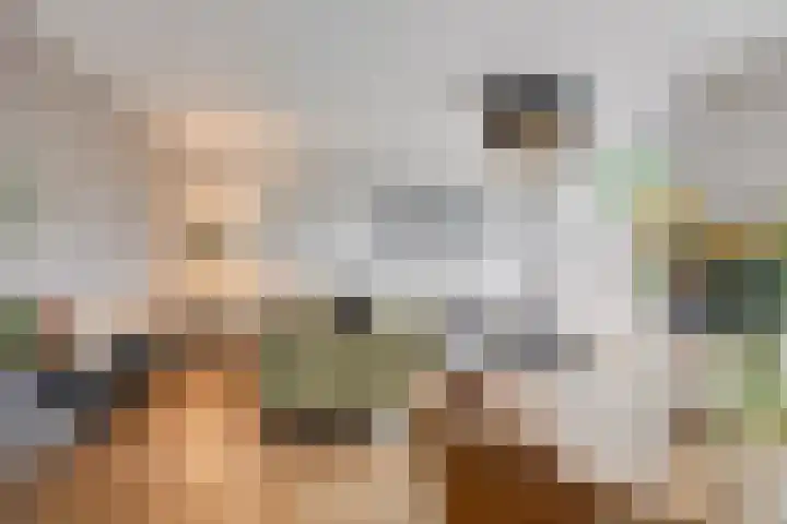 Culenhof 46 Nuenen thumbnail 8