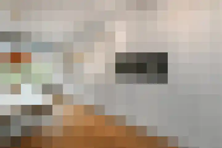 Cultusplein 26 Elst thumbnail 19
