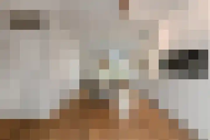 Cultusplein 26 Elst thumbnail 20