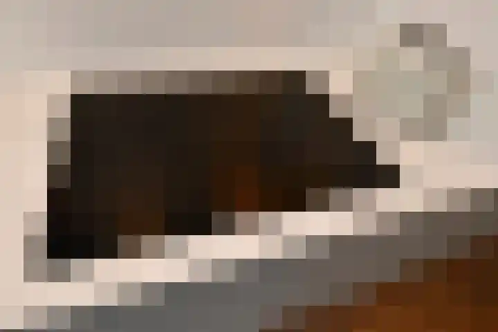 Cultusplein 26 Elst thumbnail 23