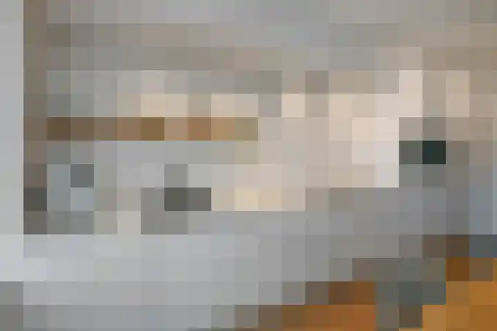 Cultusplein 26 Elst thumbnail 25