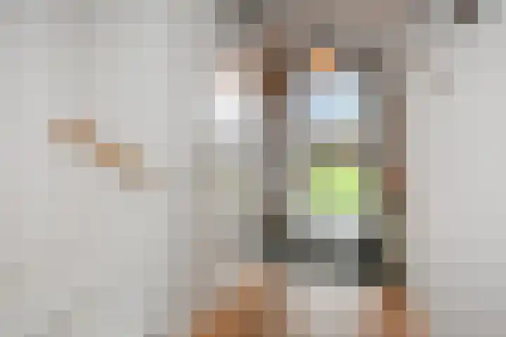 Cultusplein 26 Elst thumbnail 28
