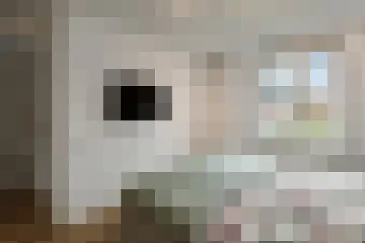 Cultusplein 26 Elst thumbnail 30