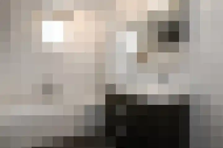 Cultusplein 26 Elst thumbnail 33