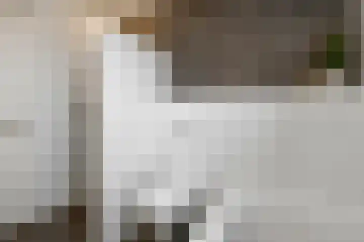 Cultusplein 26 Elst thumbnail 36