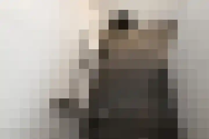 Cultusplein 26 Elst thumbnail 37