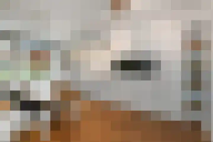 Cultusplein 26 Elst thumbnail 4