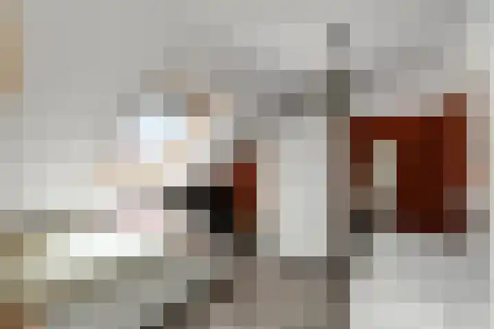 Cultusplein 26 Elst thumbnail 42