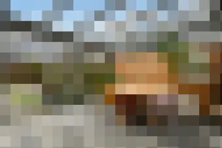Cultusplein 26 Elst thumbnail 46
