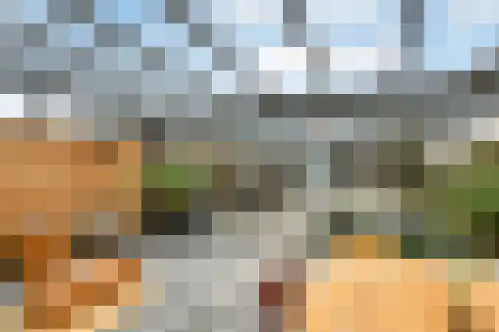 Cultusplein 26 Elst thumbnail 47