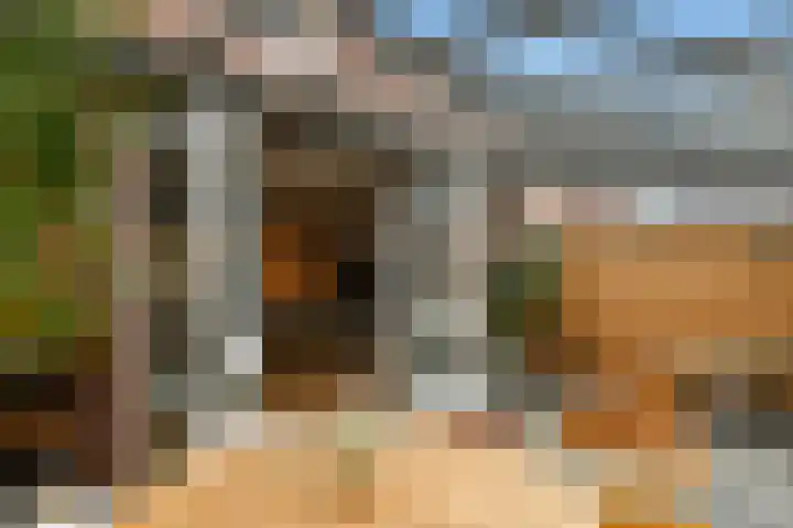 Cultusplein 26 Elst thumbnail 48