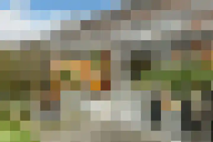 Cultusplein 26 Elst thumbnail 50