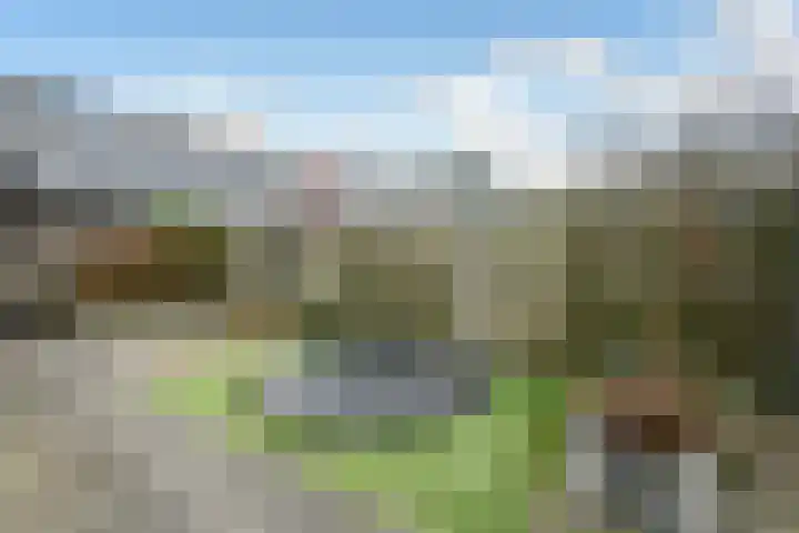 Cultusplein 26 Elst thumbnail 51