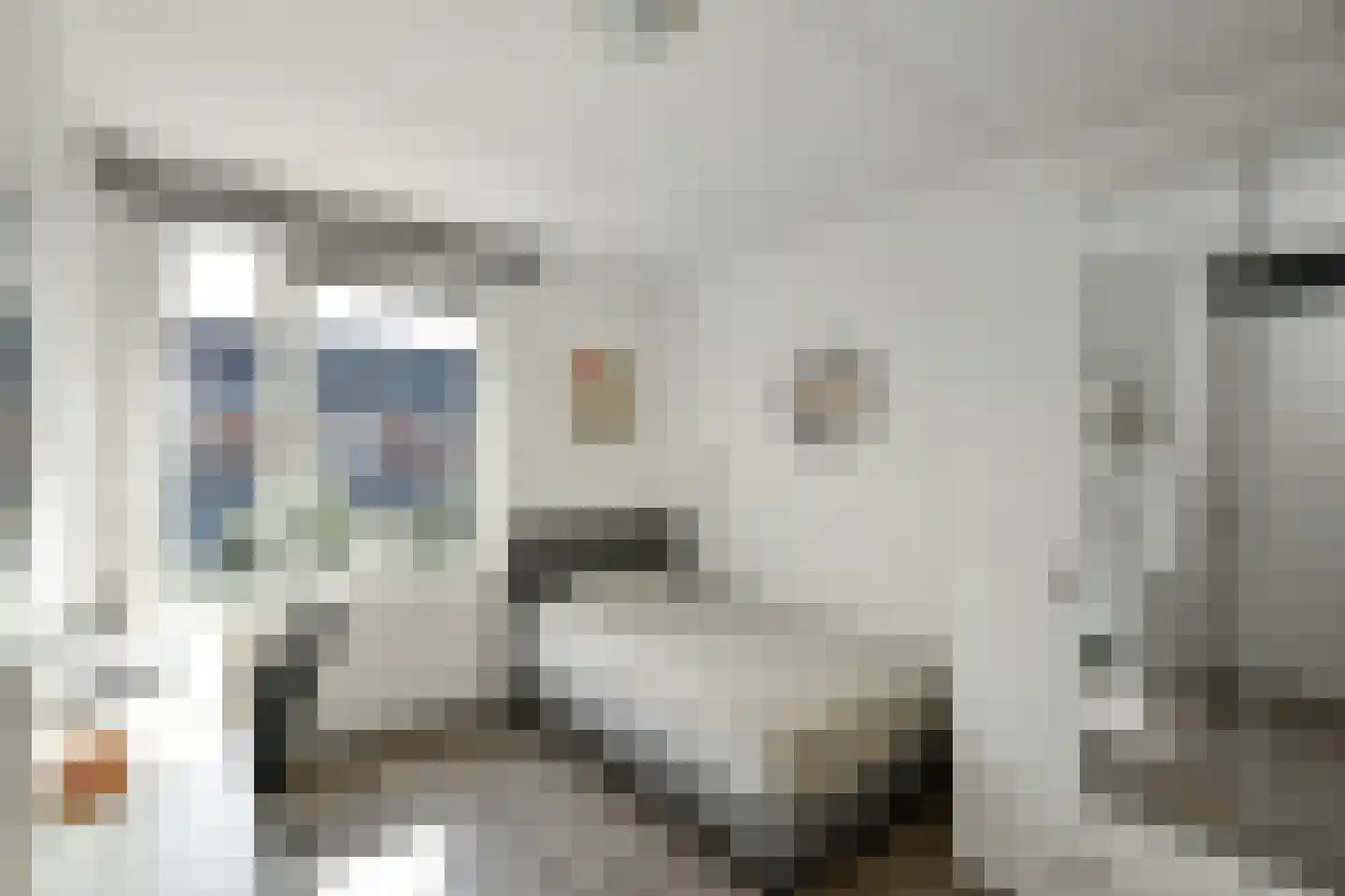 Cultusplein 30 Elst thumbnail 24