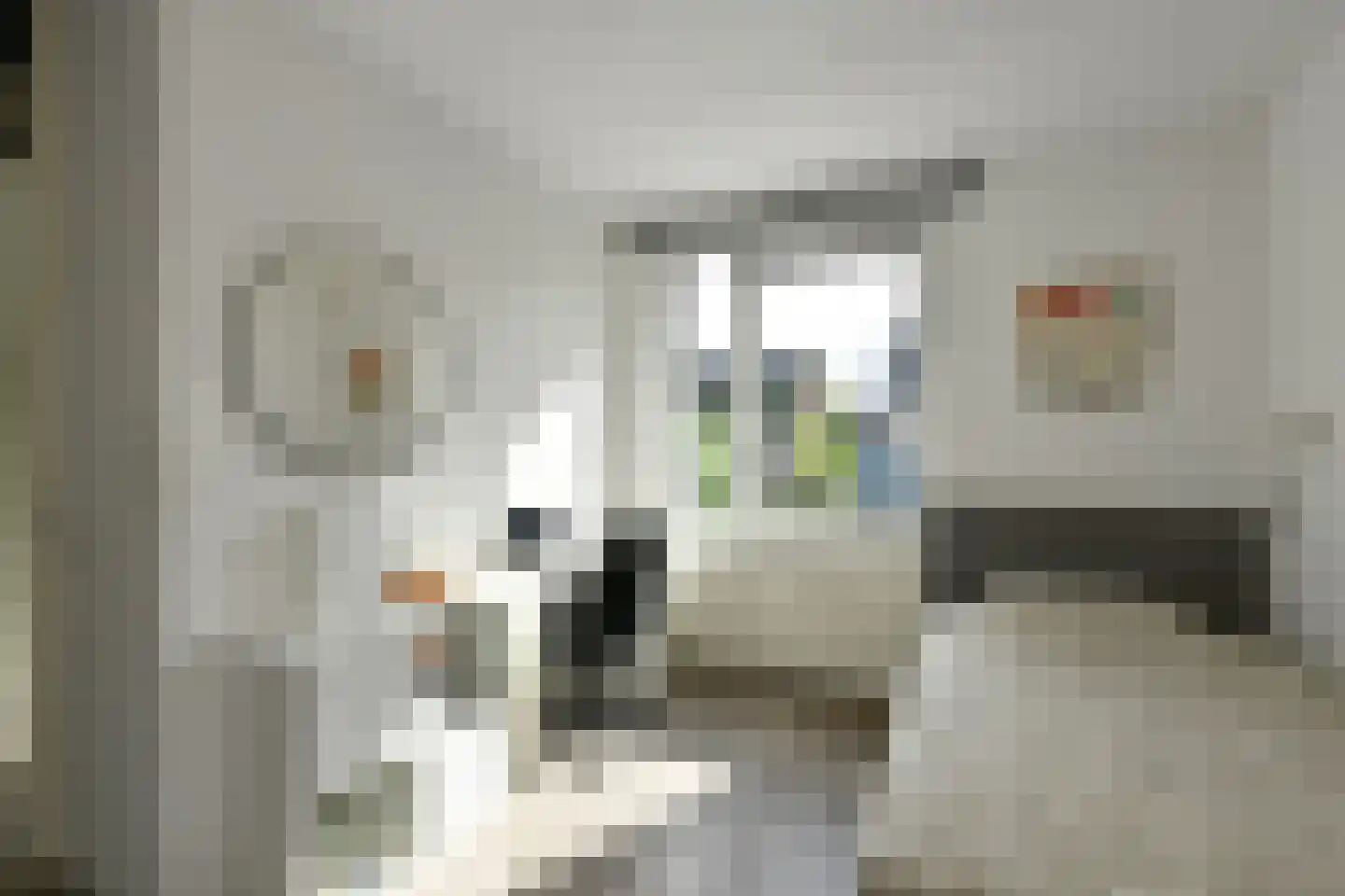 Cultusplein 30 Elst thumbnail 25