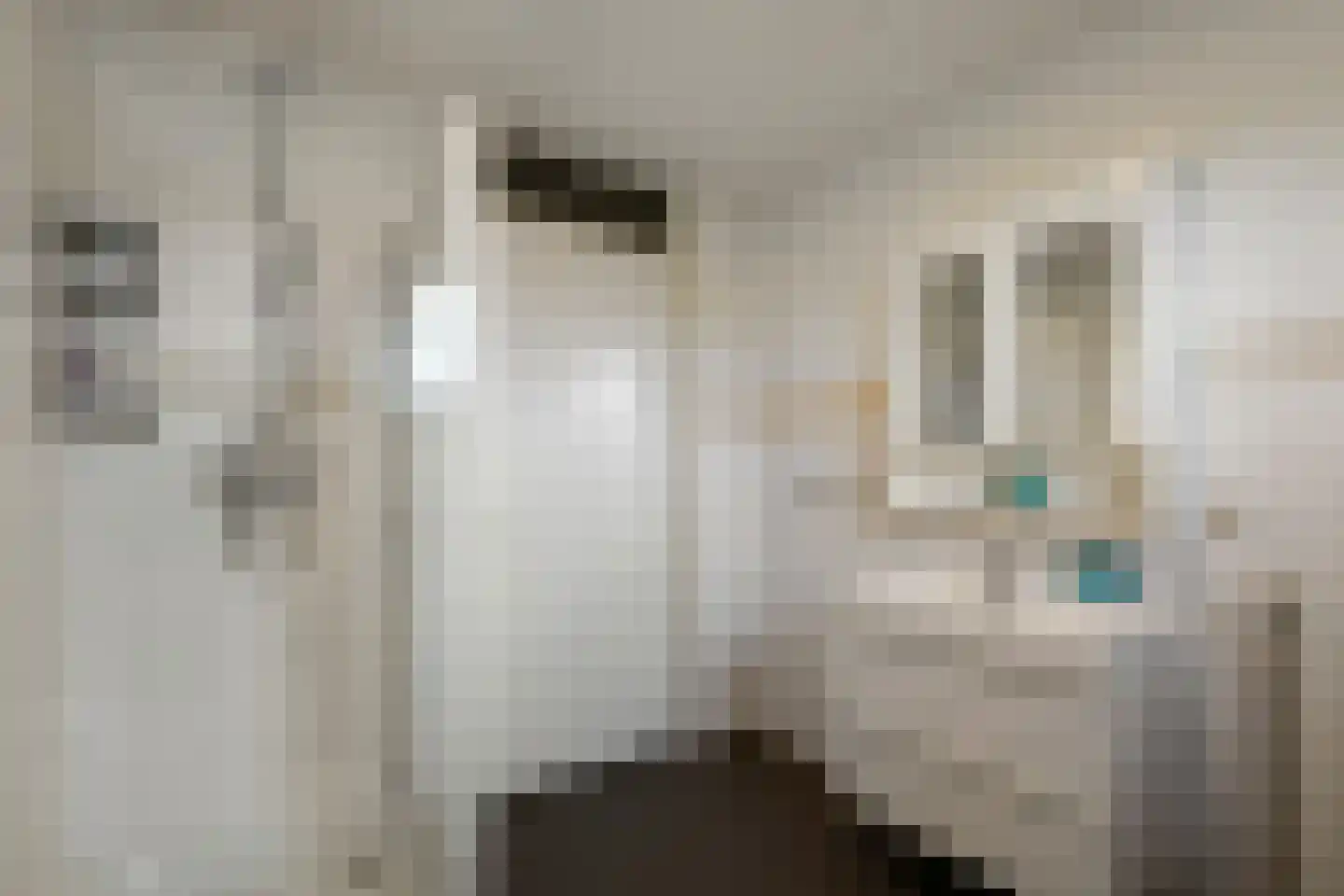 Cultusplein 30 Elst thumbnail 29