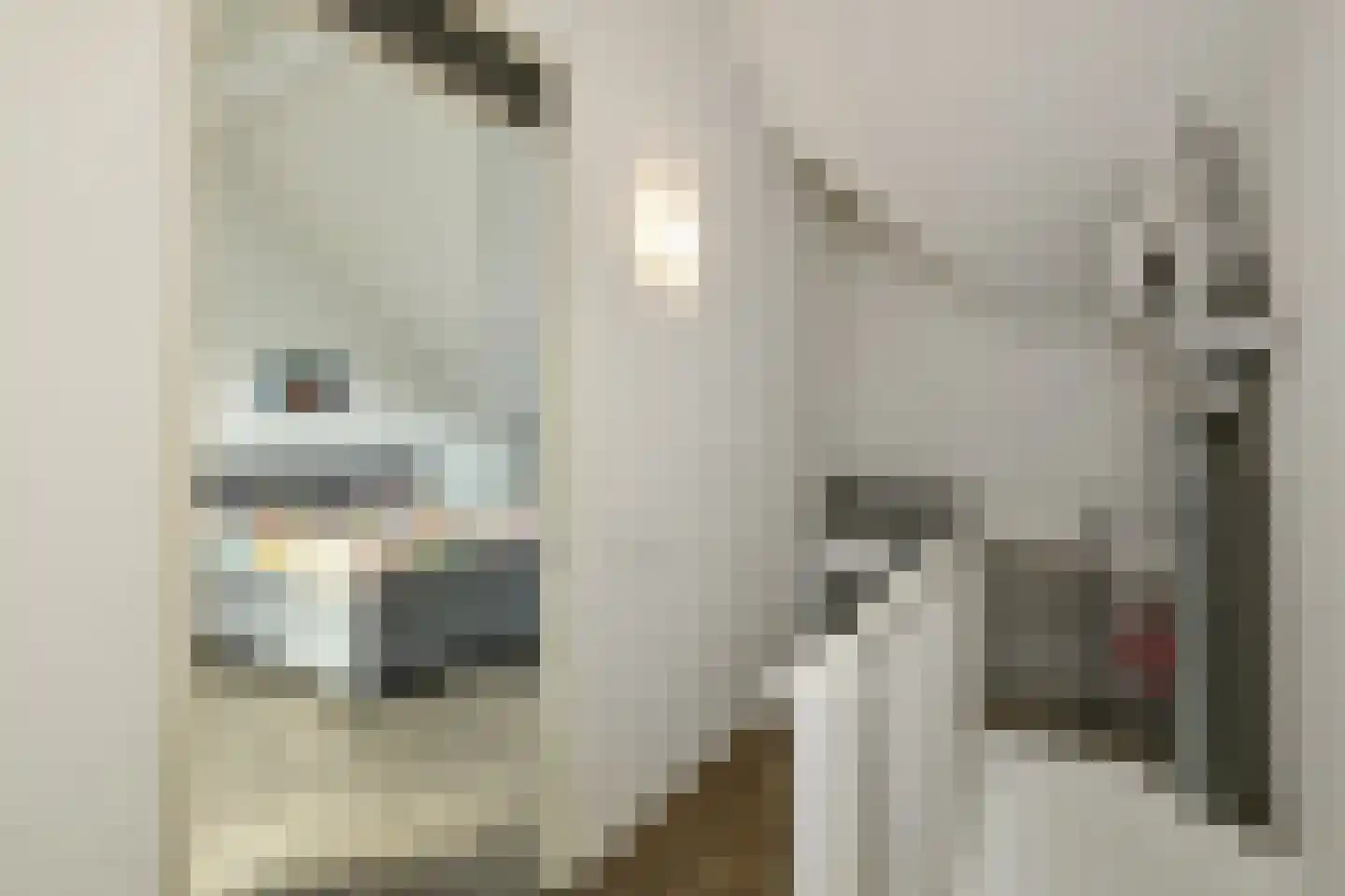 Cultusplein 30 Elst thumbnail 32