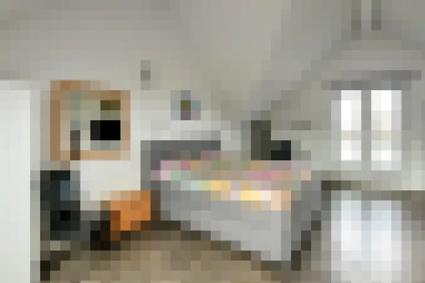 Cultusplein 30 Elst thumbnail 33