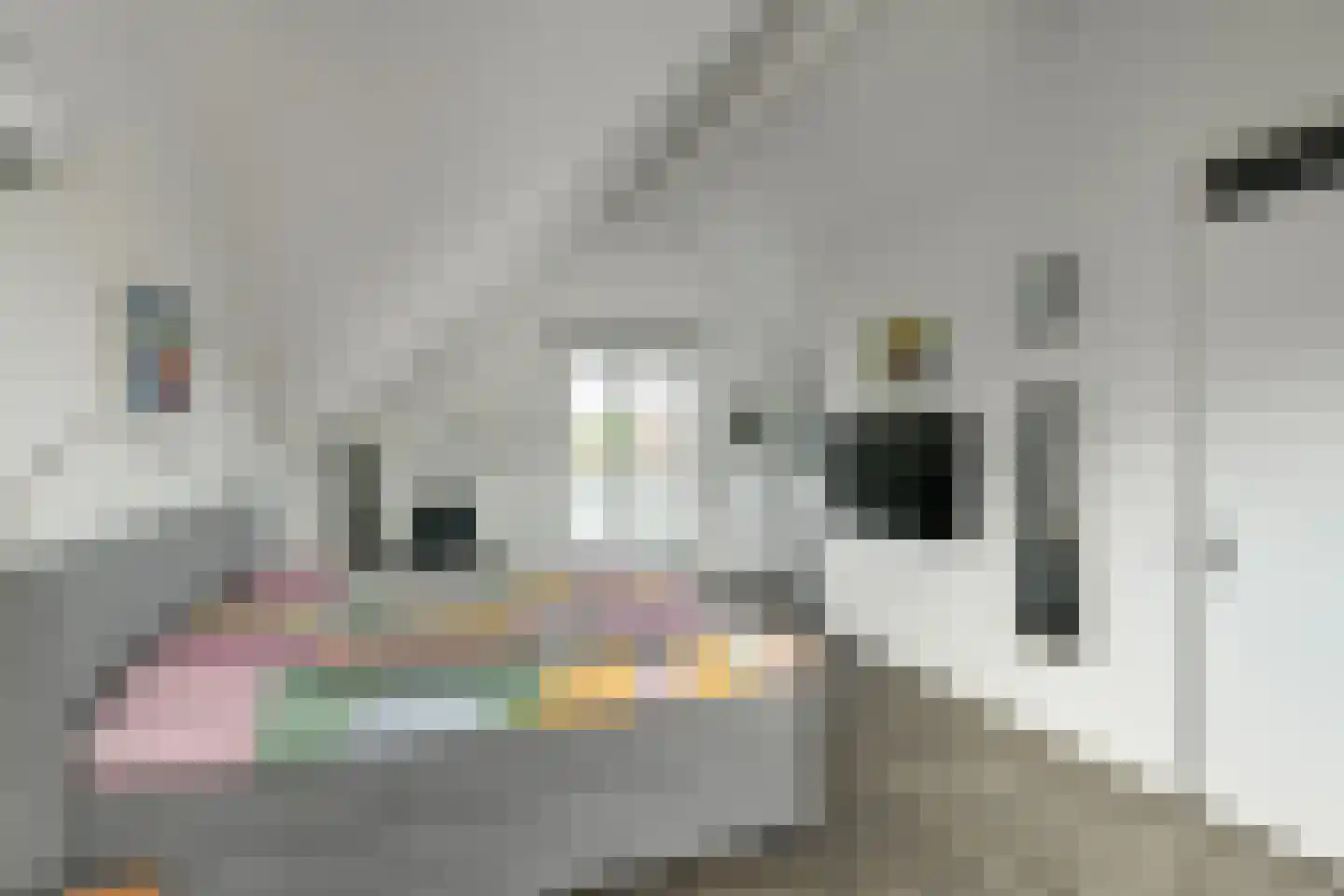 Cultusplein 30 Elst thumbnail 34