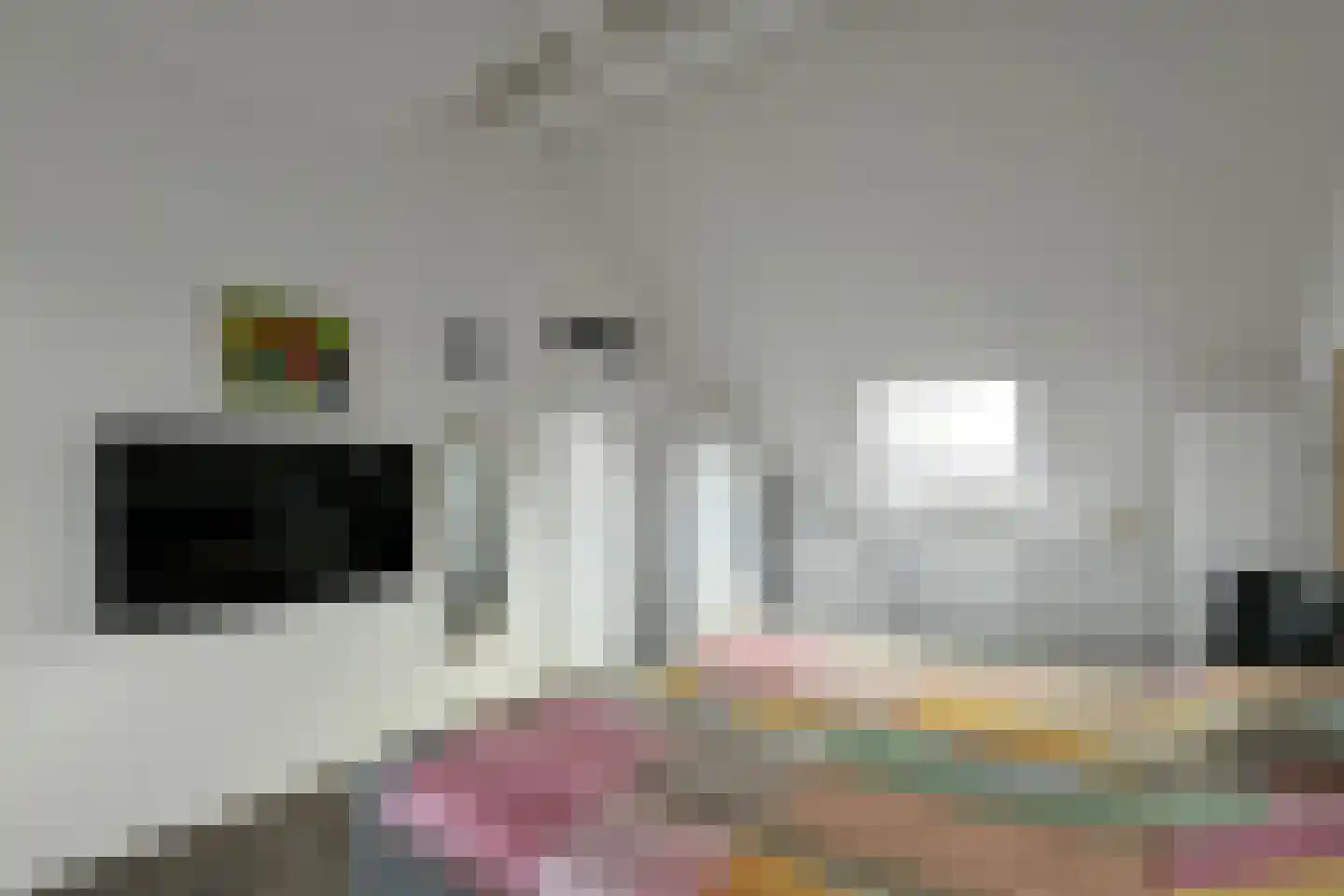 Cultusplein 30 Elst thumbnail 36