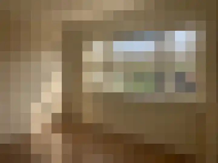 Cultuursingel 48 Biddinghuizen thumbnail 20