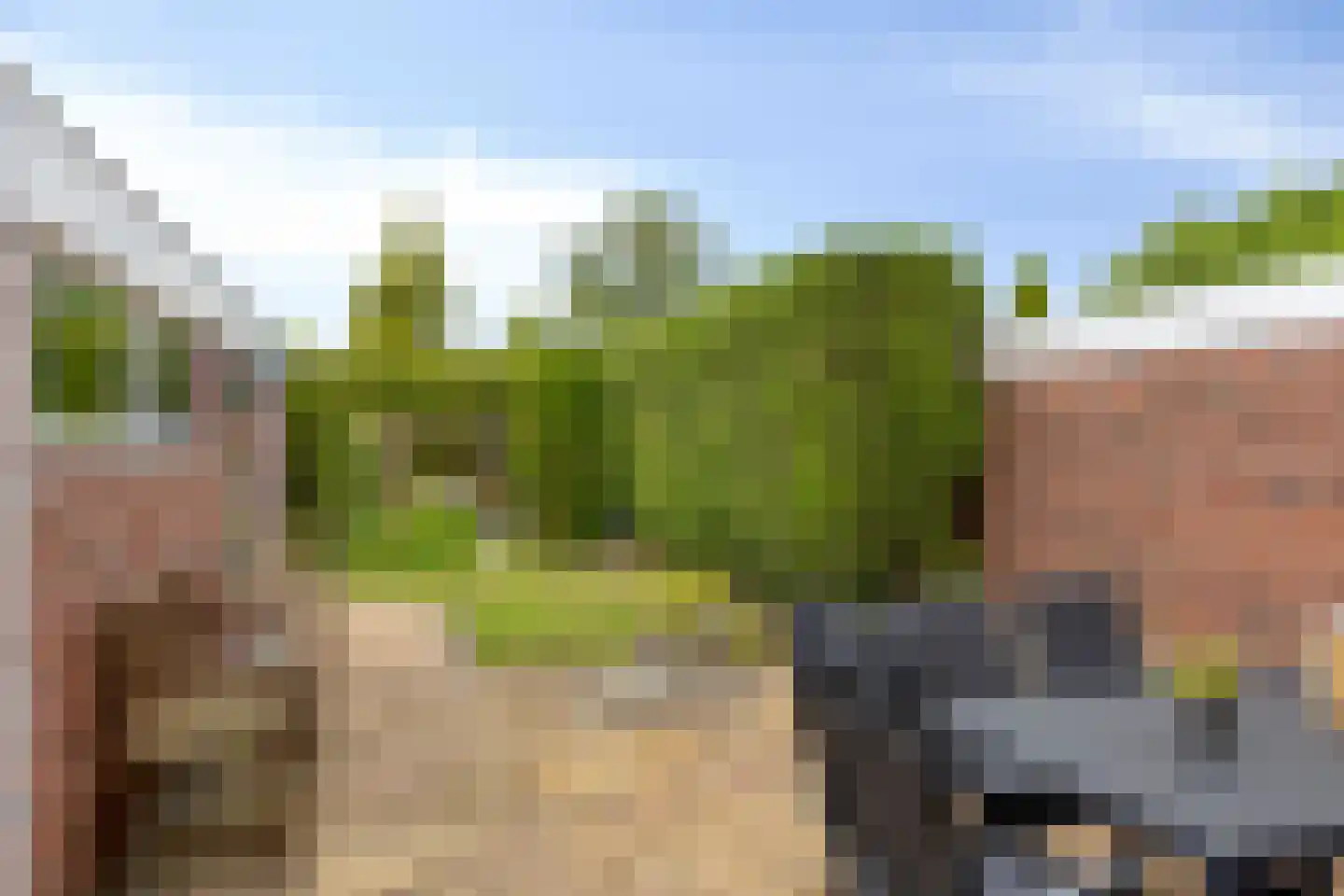 Cultuursingel 95 Biddinghuizen thumbnail 23