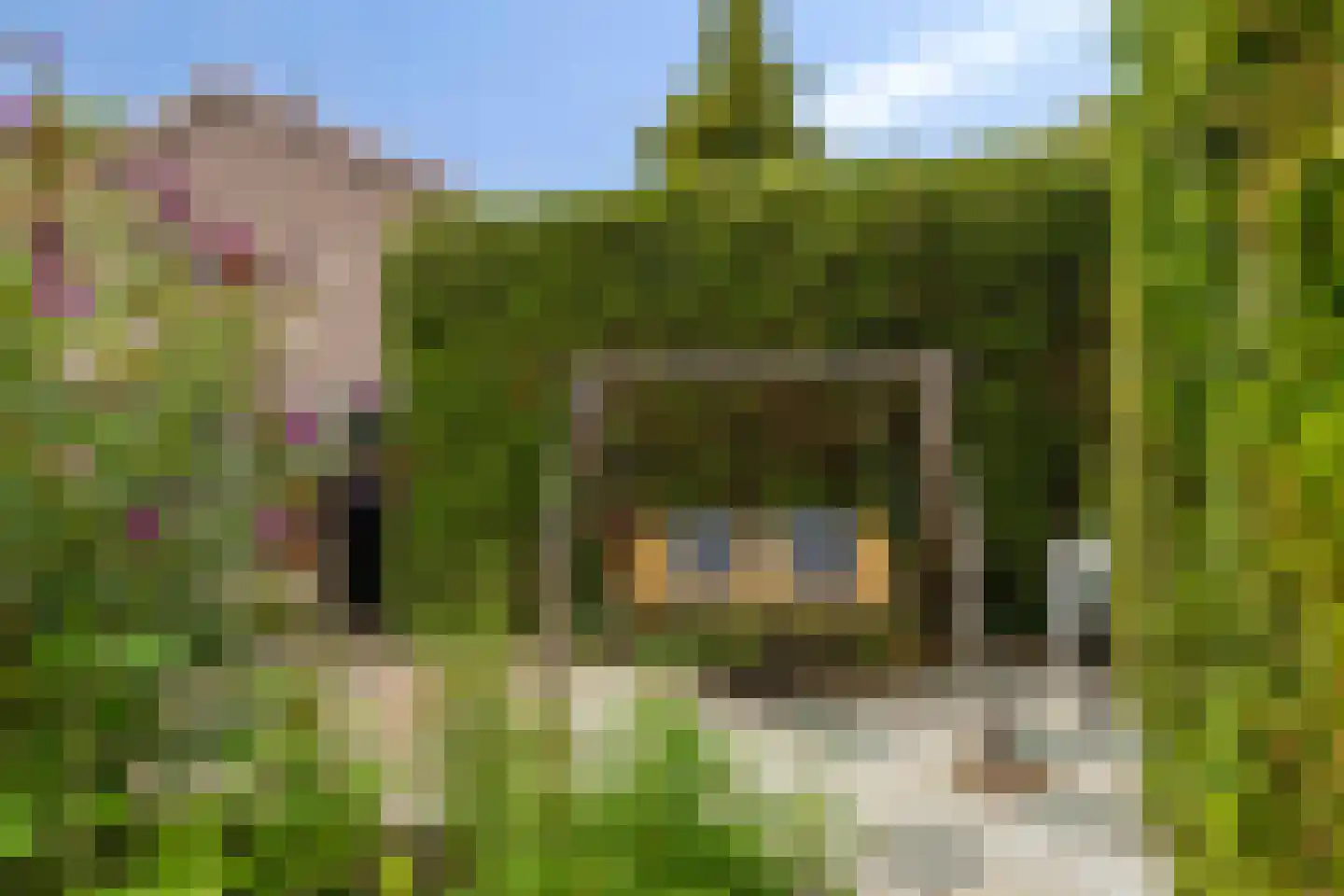 Cultuursingel 95 Biddinghuizen thumbnail 27