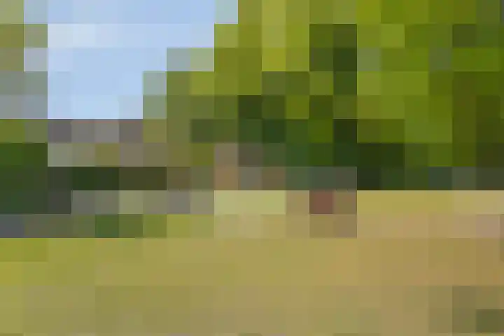 Cuneradal 6 Valkenswaard thumbnail 23