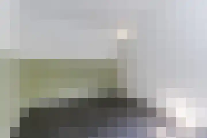 Cunerahof 6 Venray thumbnail 23