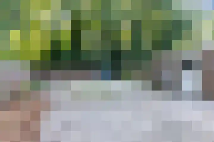 Cunerahof 6 Venray thumbnail 37