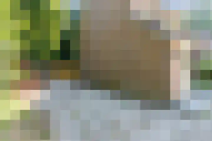 Cunerahof 6 Venray thumbnail 4