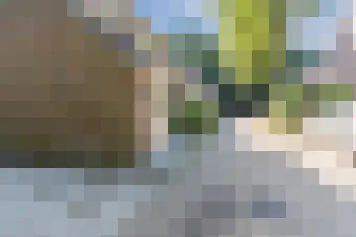 Cunerahof 6 Venray thumbnail 40
