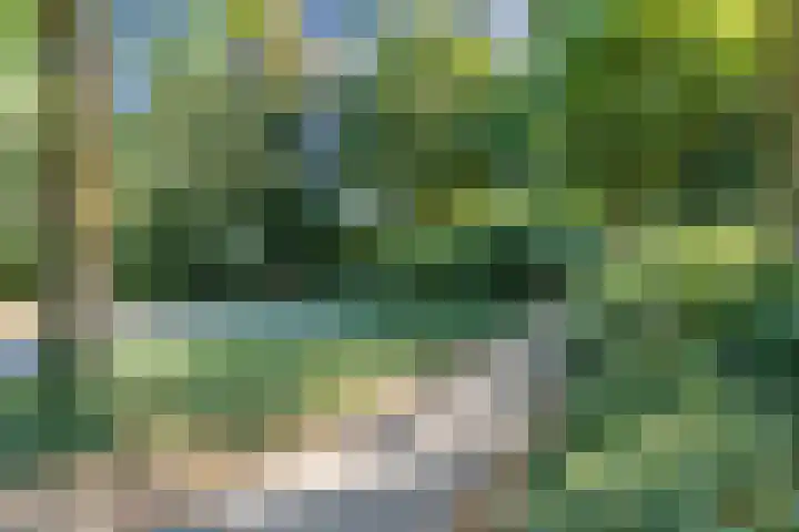 Cunerahof 6 Venray thumbnail 41