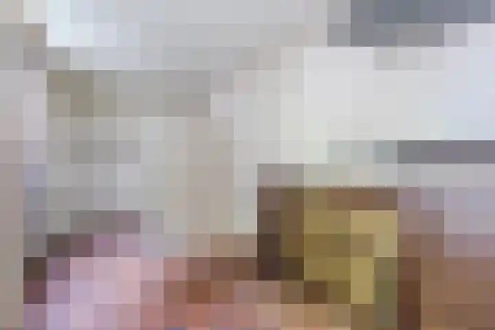 Cunerahof 7 Venray thumbnail 16